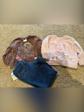 Toy Story and Aristocats sweaters with Jeans (2t)